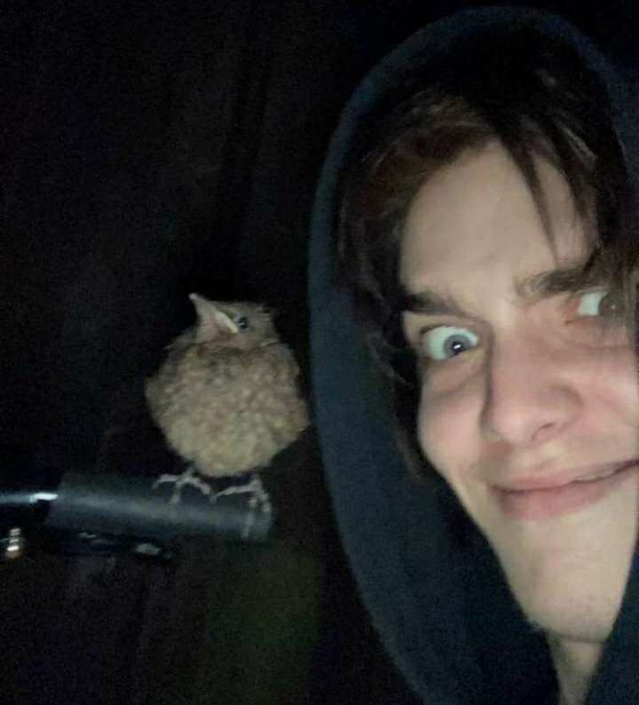 AvianJAmes