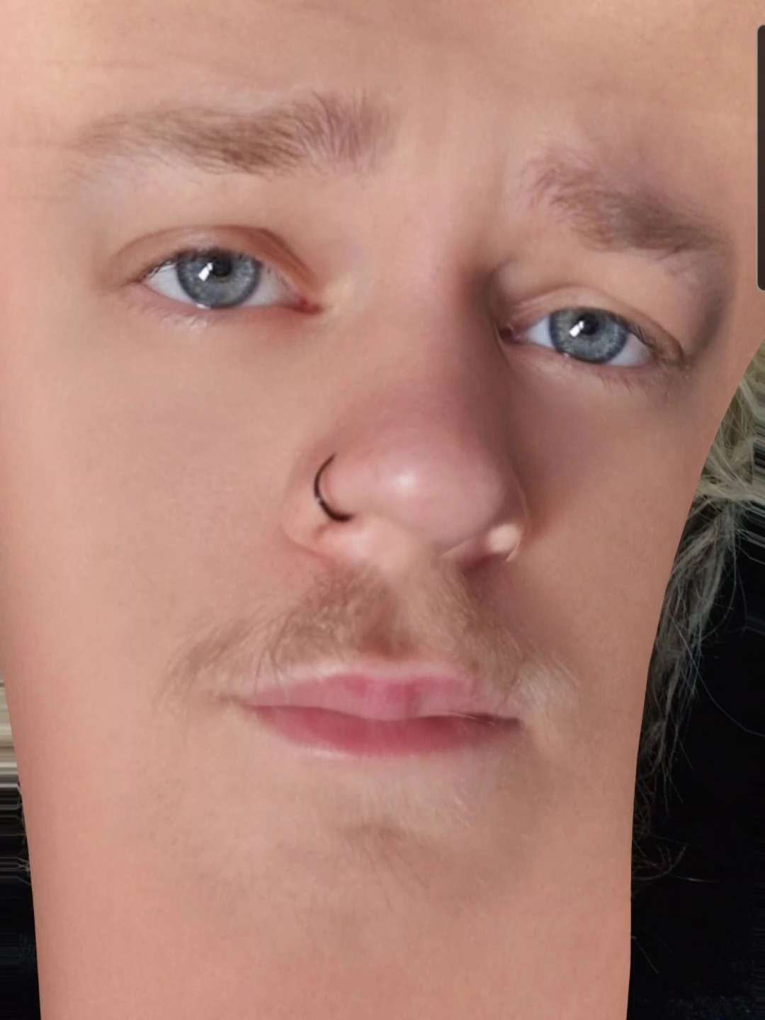 HArdvee